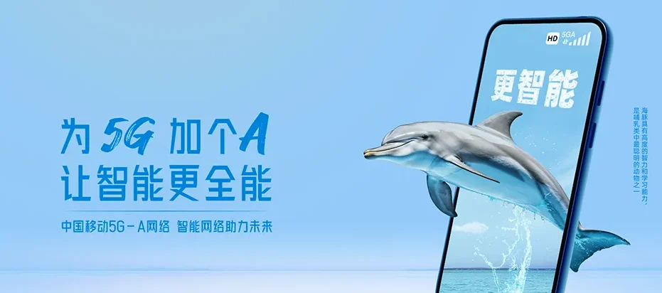 泸水市泸水市大练地街道 移动宽带移动宽带办理资费表